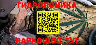 МДПВ Канаш