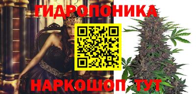 МДПВ Канаш