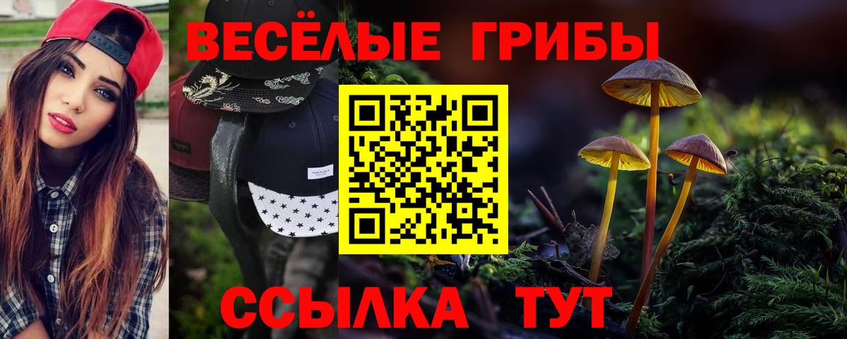 Галлюциногенные грибы GOLDEN TEACHER Крымск