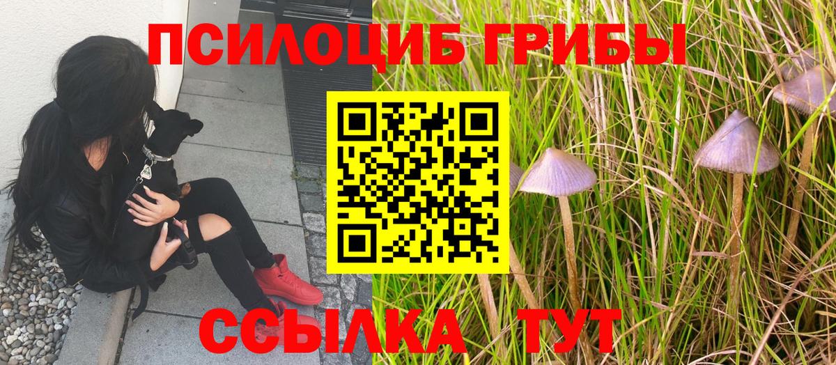 Крымск  Псилоцибиновые грибы ЛСД  Псилоцибиновые грибы Magic Shrooms  Вход с VPN 